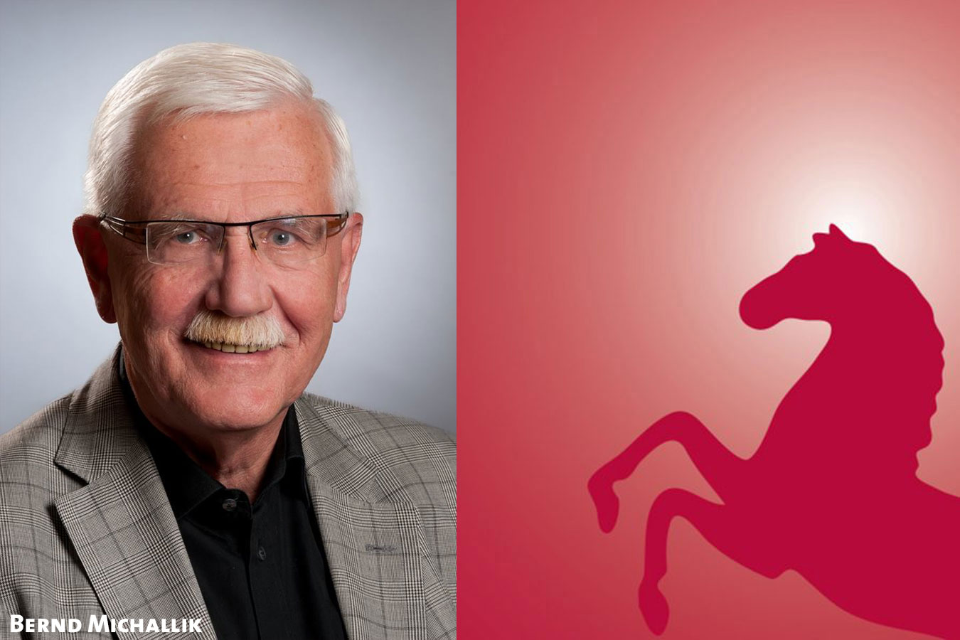 Bernd Michallik mit Niedersachsenpferd