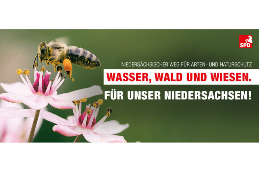 Das Bild zeigt eine Biene als Symbol für den Arten- und Naturschutz